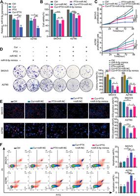 Curcumin enhances the anti-cancer efficacy of paclitaxel in ovarian cancer by regulating the miR-9-5p/BRCA1 axis